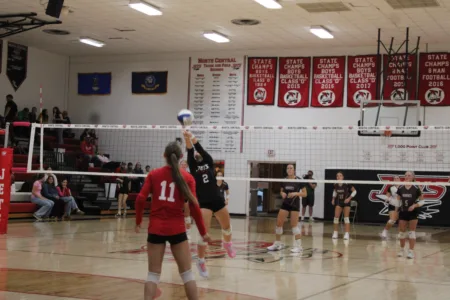 Nordics ground Jets in volleyball action